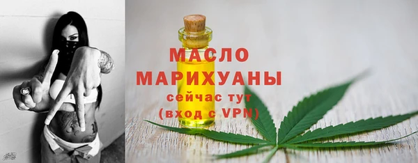 метадон Богданович